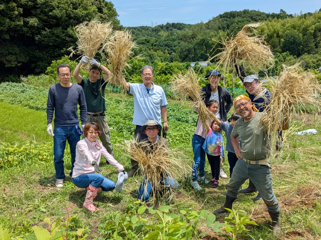大麦できた！まちだのビール